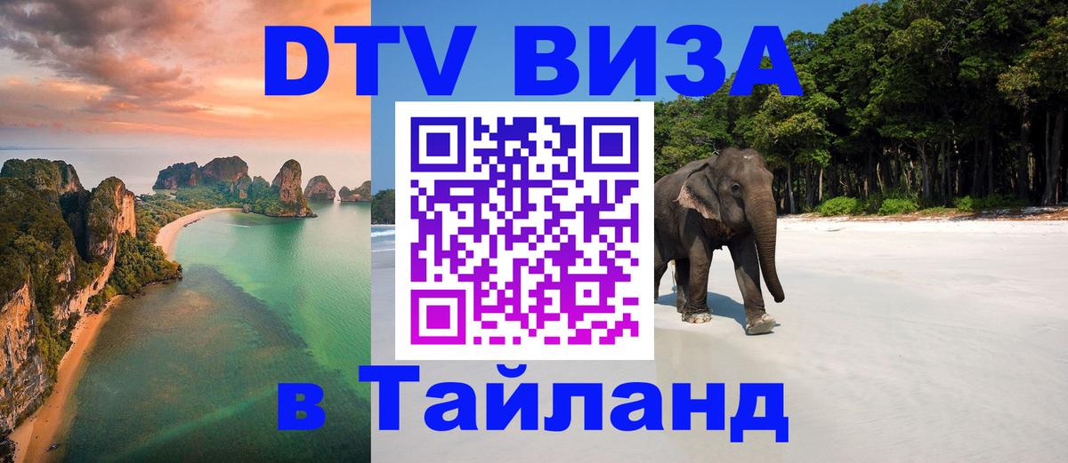 Оформление DTV визы под ключ: стоимость и тарифы, только загранпаспорт - 18.11.2025 